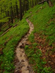 2013-06-01_Regina-F-Rau_Staffelalm_Hochwasser (123).JPG